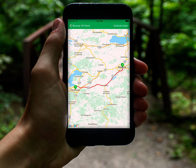 Descubre tu Ruta